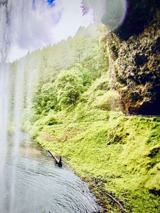 DR Congo Itombwe Massif Mossy Albertine Rift Forest Traileasytravelpost #ItombweMassif #AlbertineRi