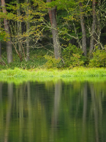 A breathtaking landscape woven from greenery and tranquility: the