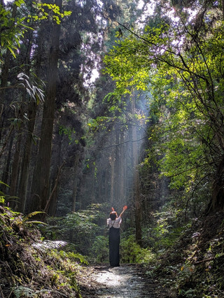 🇯🇵【Kumamoto/Aso】Like another world! The fantastical Kamishikimi Kumanoza Shrine