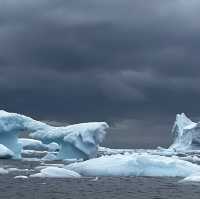 Antarctica, South Georgia, Falkland 