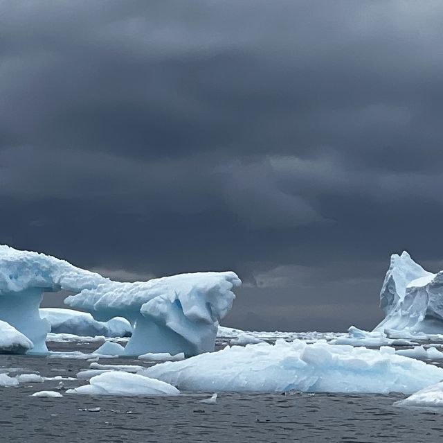 Antarctica, South Georgia, Falkland 