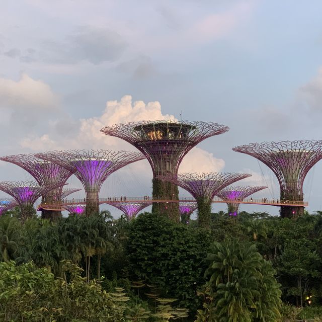 SG Gardens by the Bay