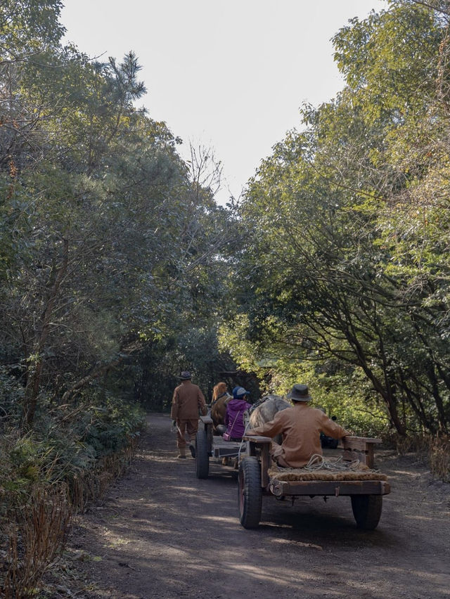 동화같은 숲속 마을에서 힐링하기🌿🛤