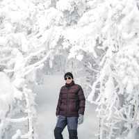 Killington Peak @ Killington Resort
