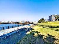 青海南埠頭公園
