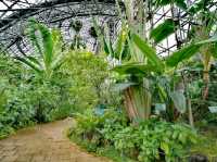 夢之島熱帶植物館
