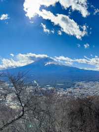 8 Days in Tokyo