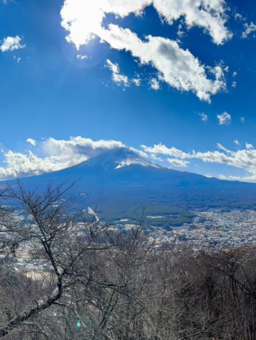 8 Days in Tokyo