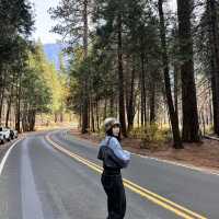 優勝美地必看攻略！Yosemite National Park！