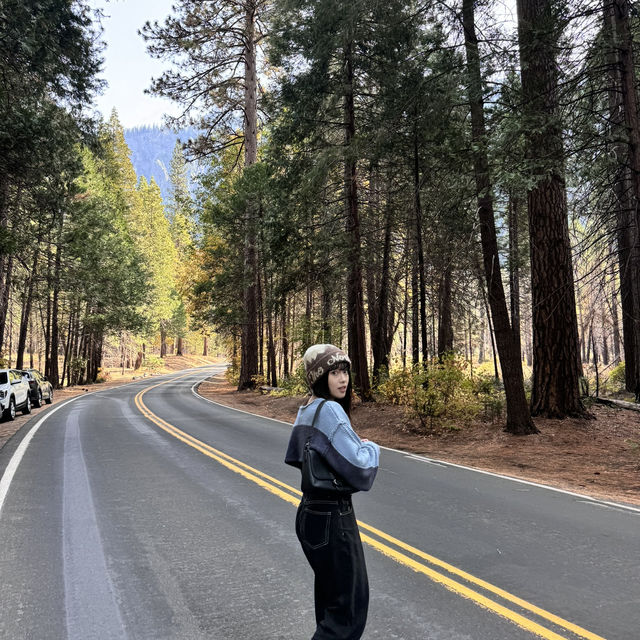 優勝美地必看攻略！Yosemite National Park！