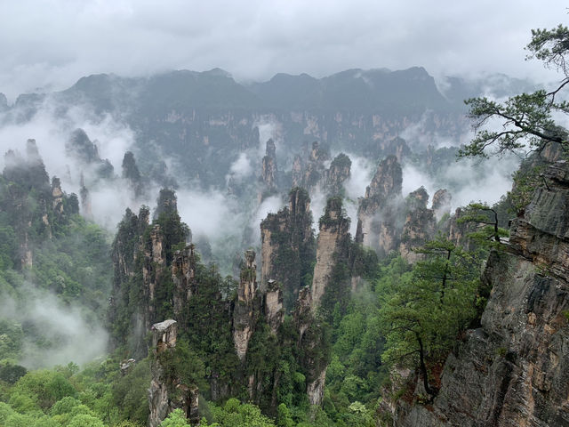 Zhangjiajie fairytail