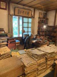 🇯🇵高知旅、朝ドラらんまんで話題になった【牧野植物園】
