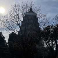 🏯 วัดเจดีย์ห่านป่าใหญ่ (องค์ใหญ่) เมืองซีอาน