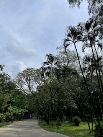 สวนสาธารณะอันเขียวชอุ่มและเงียบสงบของธากา มอบสวรรค์แห่งการพักผ่อนอย่างแท้จริง 🌳