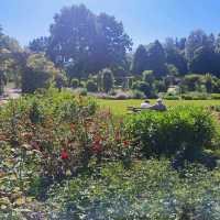德國--巴伐利亞--Kurpark Bad Wörishofen香草玫瑰公園