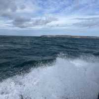 Rathlin Island Bird Sanctuary 