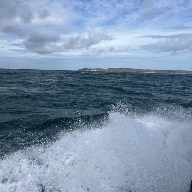 Rathlin Island Bird Sanctuary 