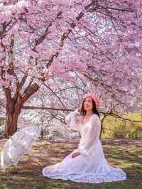 🌸  Brooklyn Botanic Garden 🇺🇸 