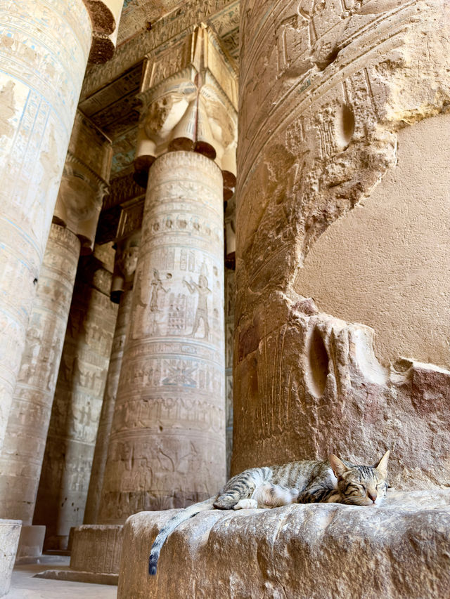 The most beautiful temple in Egypt 😍