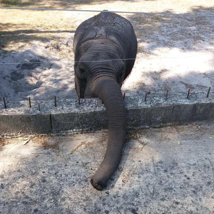 Zoo Arcachon Basin 🇫🇷