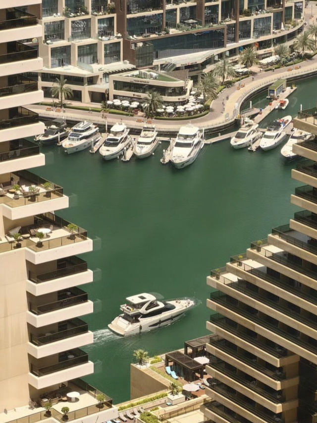 Dubai Marina 🗺️