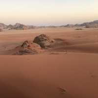 Desert Surf 