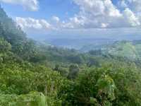 The Majestic Terrain of Anamudi Peak 