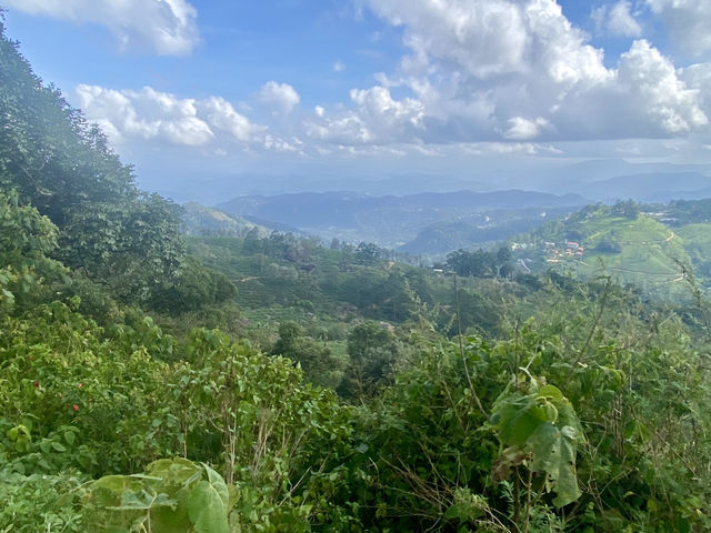 The Majestic Terrain of Anamudi Peak 