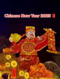 The Year of the Snake 🐍🇨🇳
