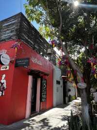 「色×味×音」— 五感を刺激するオアハカへ行くべき5つの理由🇲🇽✈️🌏