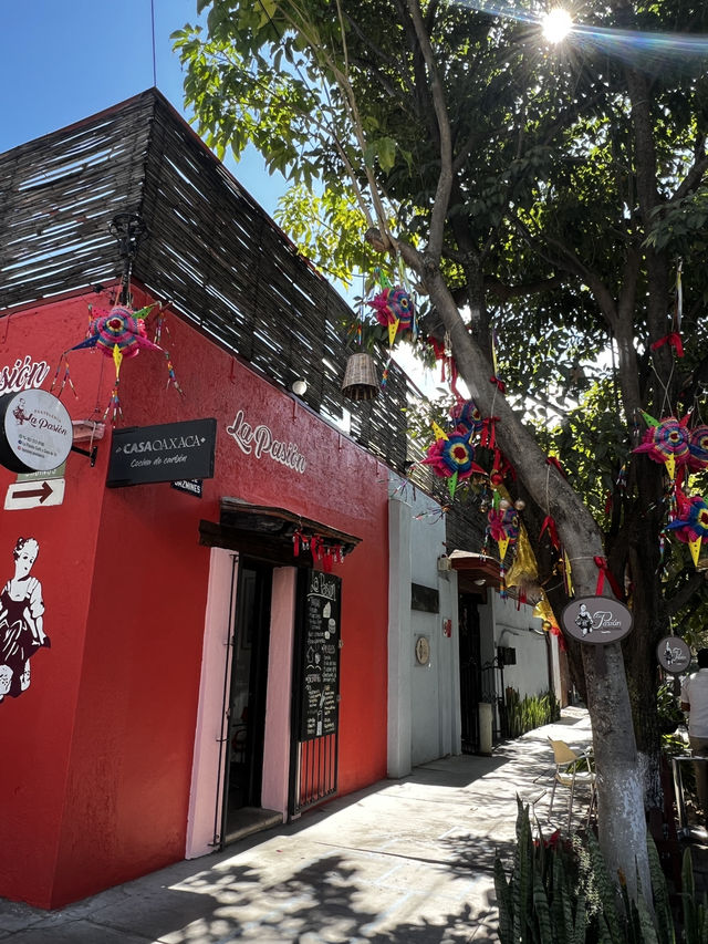 「色×味×音」— 五感を刺激するオアハカへ行くべき5つの理由🇲🇽✈️🌏