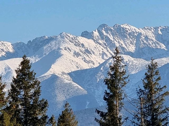#skitrip