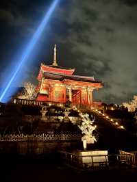 Beautiful Kyoto