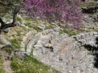 The ancient theatre of Butrint