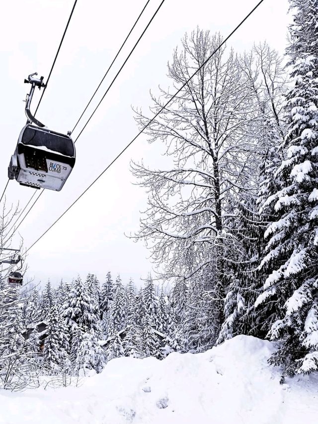 Whistler: Where Adventure Meets Alpine Beauty