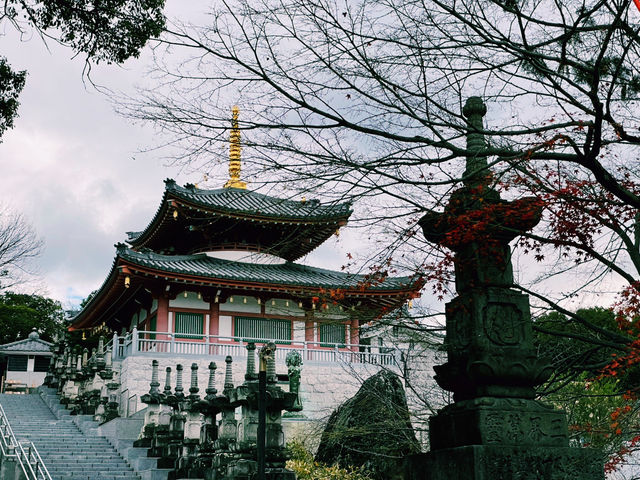 🚗 Ride-Sharing in Nagoya: Smart, Easy, and Totally Worth It 🇯🇵✨