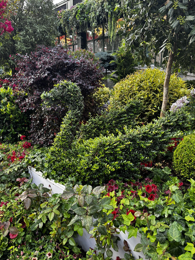 You will fall in love with Moskow this summer! 