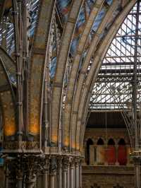 🏛️ Oxford University Museum of Natural History – Gothic Wonder & Scientific Treasure
