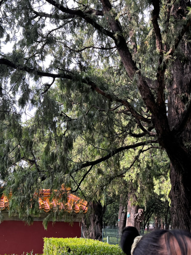 Temple of Earth Park