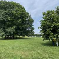 Parco della Pellerina
