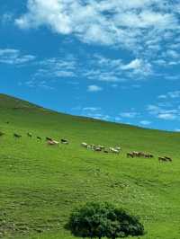Zhangbei Grassland Sky Road: A Drive Above the Clouds