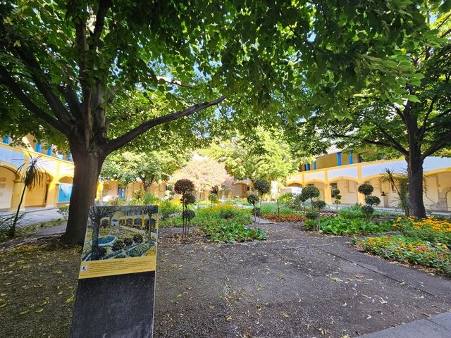 Van Goah's footsteps in Provence, France