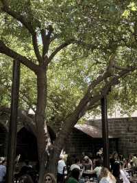 Diyarbakir 26 Days Itinerary