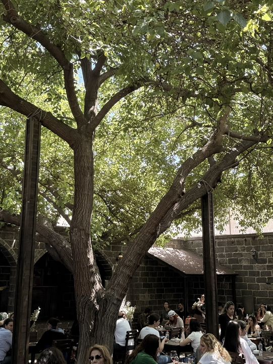 Diyarbakir 26 Days Itinerary