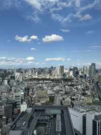Skyline Dreams Tokyo🌙