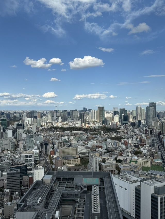 Skyline Dreams Tokyo🌙 Skyline Dreams Tokyo🌙
