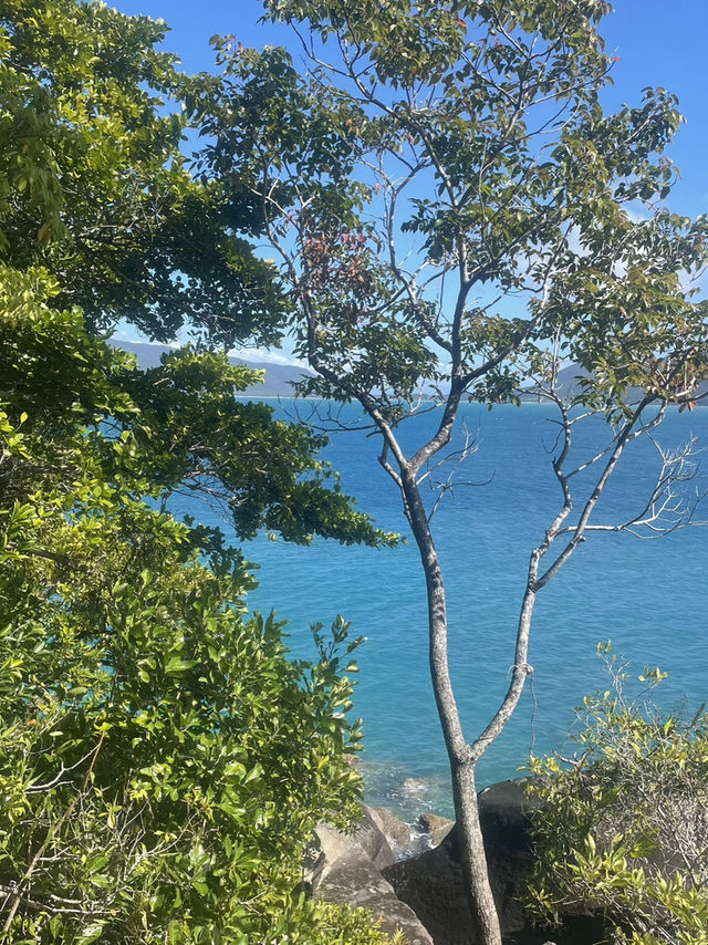 Sunny Nature Escape🌞 fitzroy island Sunny Nature Escape🌞 fitzroy island