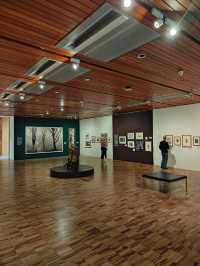 Whitworth’s Tree Gallery — Where Roots Speak and Branches Remember