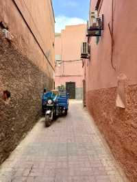 The Art of Stillness