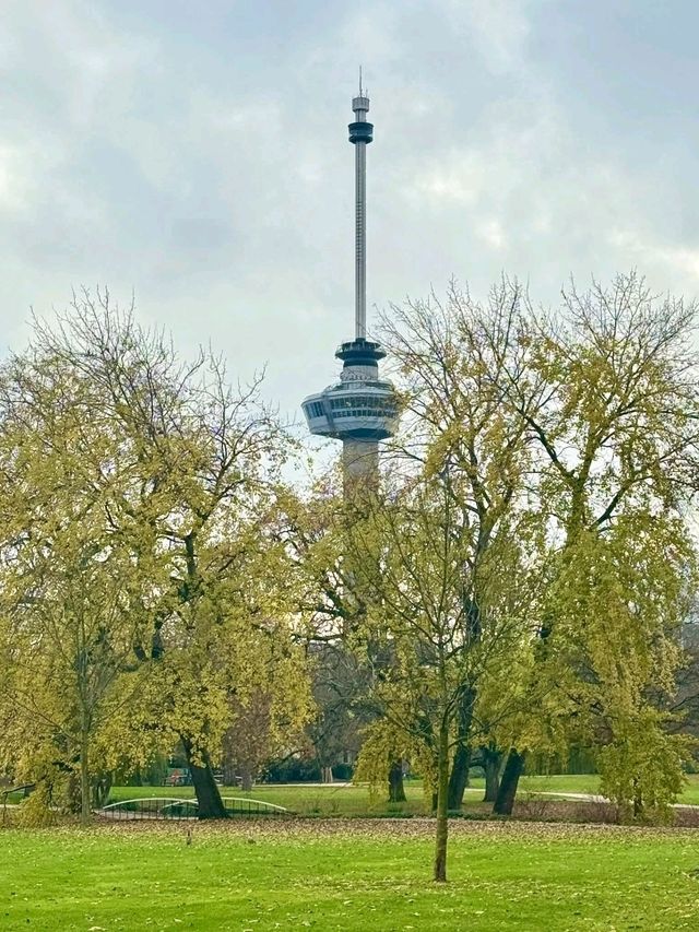 Rotterdam at Christmas – Recommendations for What to Visit (with a festive touch)